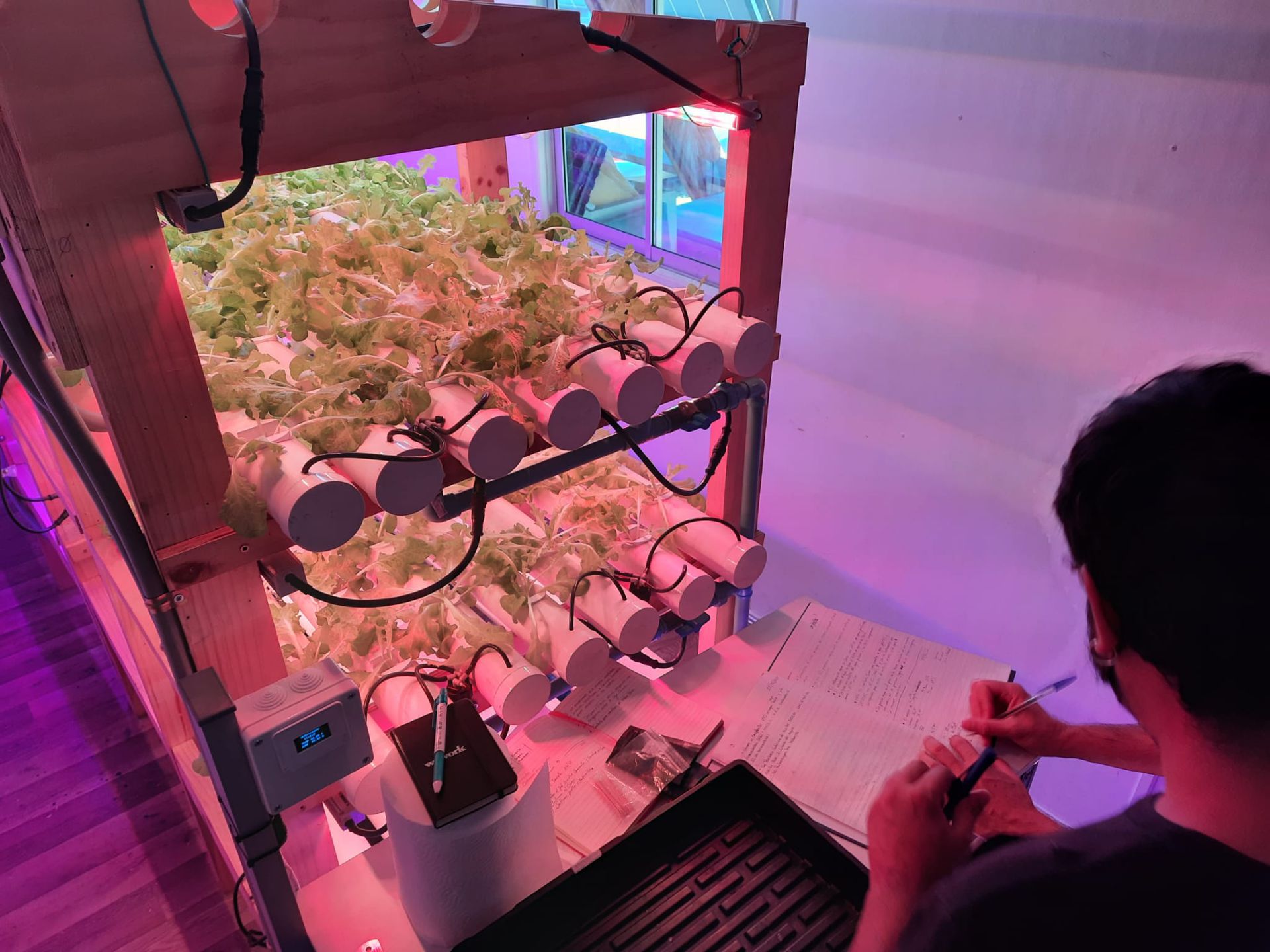 Agricultura Urbana Solar Punto Solar 10.jpeg