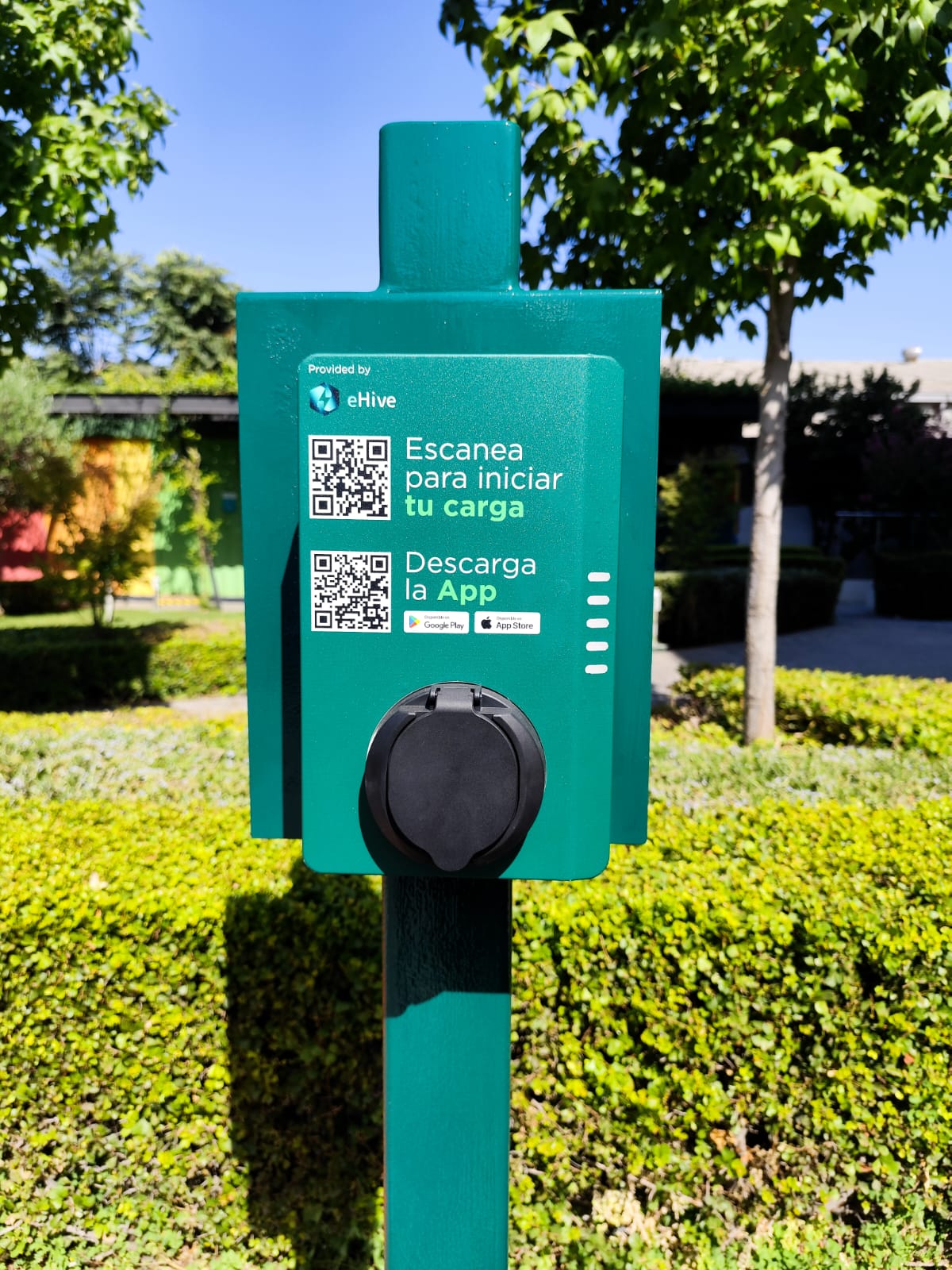 WhatsApp Image 2025-01-31 at 4.00.56 PM (1).jpeg