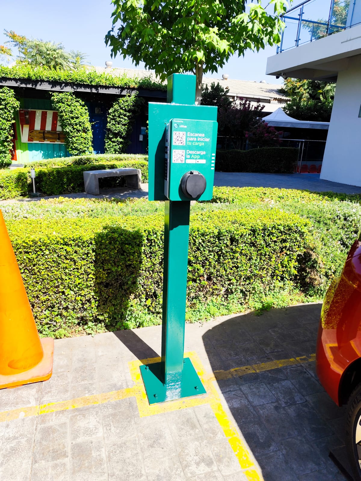 WhatsApp Image 2025-01-31 at 4.00.56 PM.jpeg