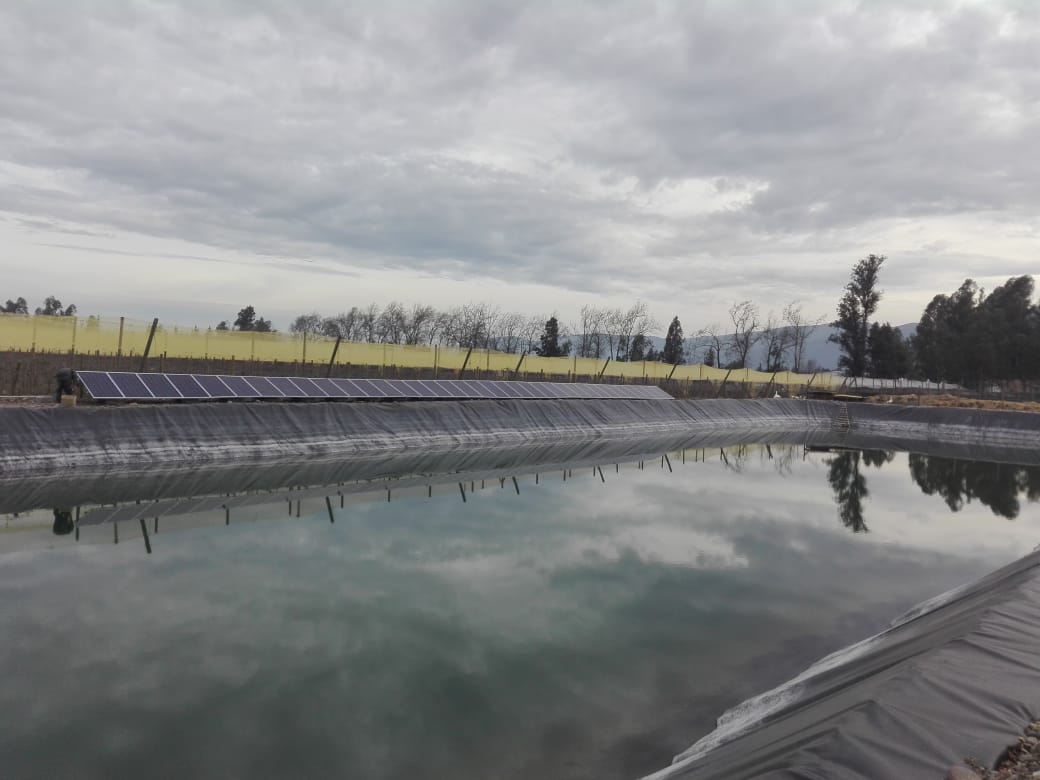 Proyecto_PanelesSolares-_Fotovoltaicos_Agricola_Agrigold_Energía_Solar_Chile-_PuntoSolar_Chimbarongo (1).jpeg