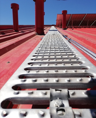 IMG_20211024_001605.jpg