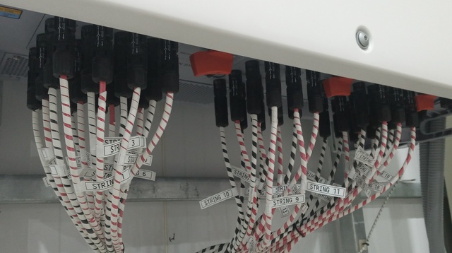 Rótulo String